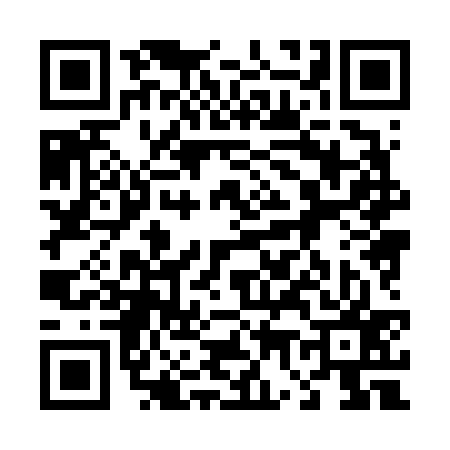 QR code for 478637X