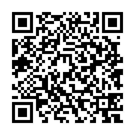 QR code for 484038V