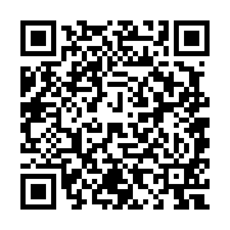 QR code for 486491P