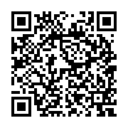 QR code for 490293G