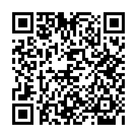 QR code for 490691P