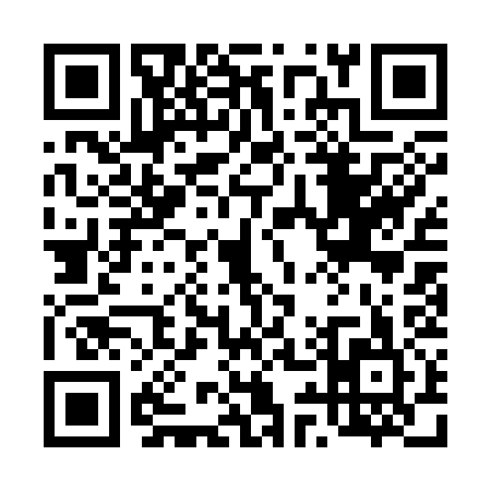 QR code for 491335C