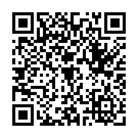 QR code for 491356P