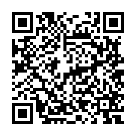QR code for 492806W