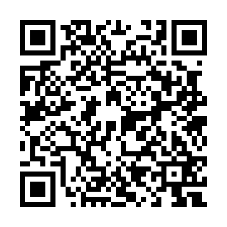QR code for 493023D