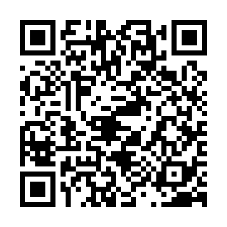 QR code for 493138X