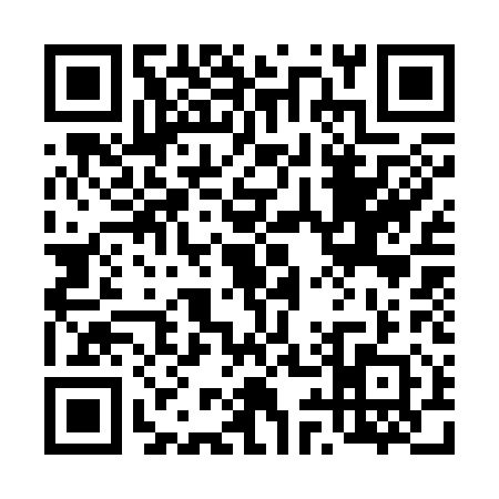 QR code for 493310C