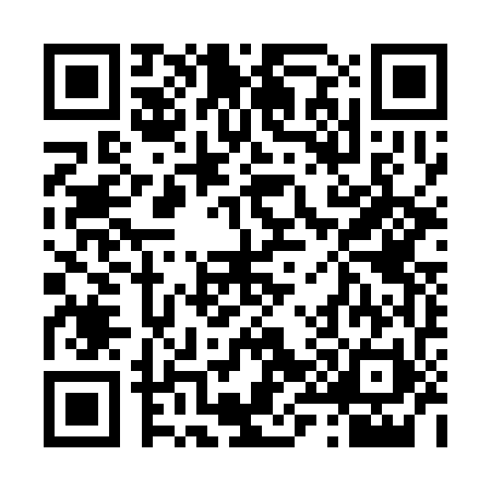 QR code for 493370Y