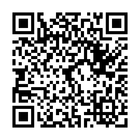 QR code for 493384P