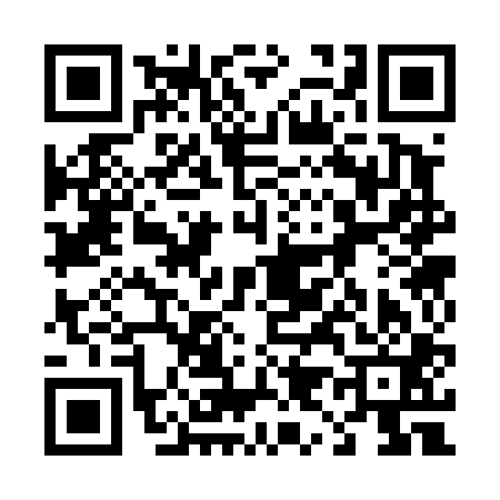 QR code for 493401E