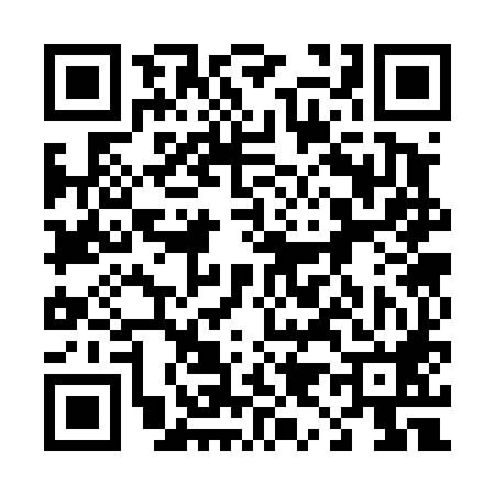 QR code for 493488U