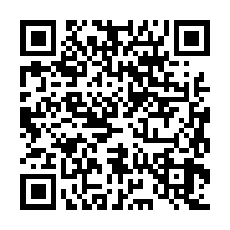 QR code for 493489D