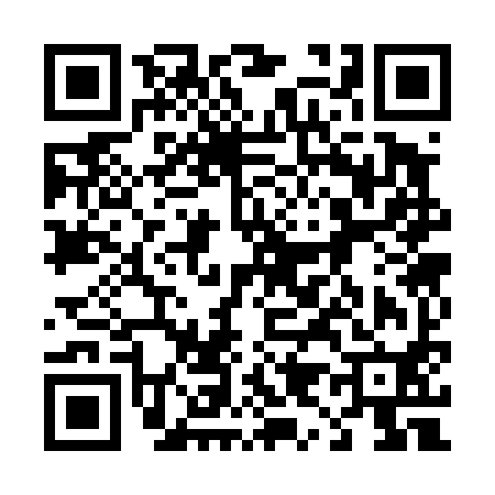 QR code for 493490G