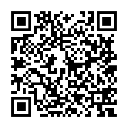 QR code for 493818G