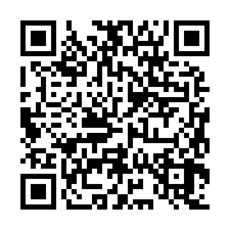 QR code for 493988E