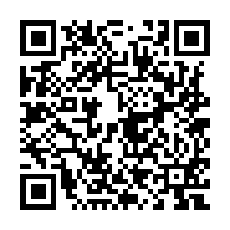 QR code for 493991U