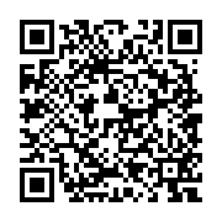 QR code for 494653X