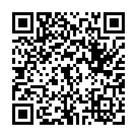 QR code for 4950000