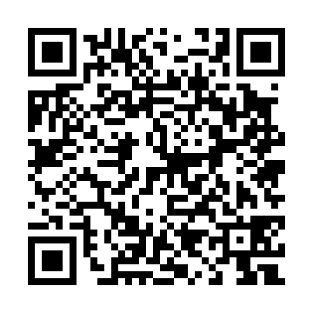 QR code for 495038O