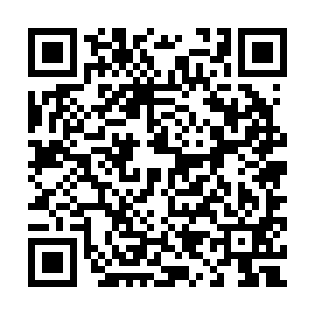 QR code for 495291N