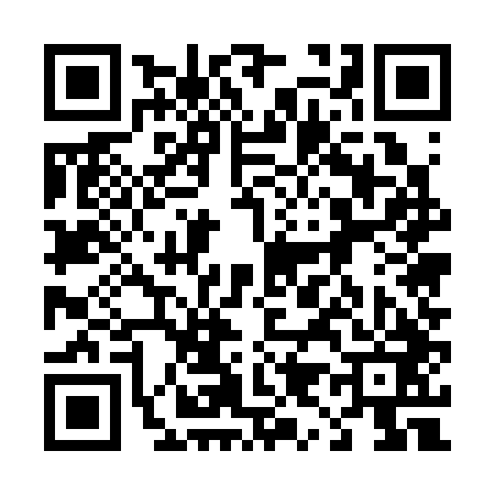 QR code for 495343S