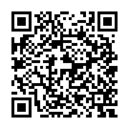QR code for 495656L