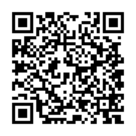 QR code for 496068X
