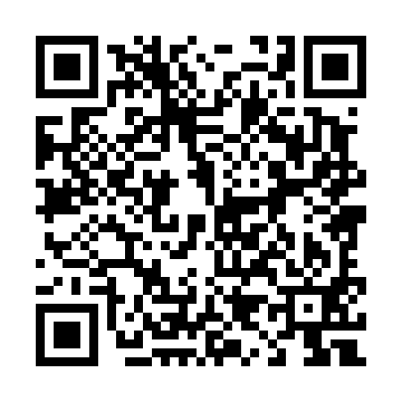 QR code for 498491E