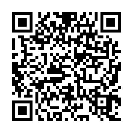 QR code for 499100Y