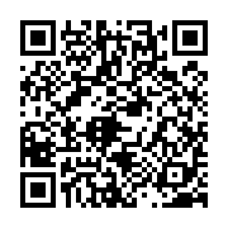 QR code for 499598P