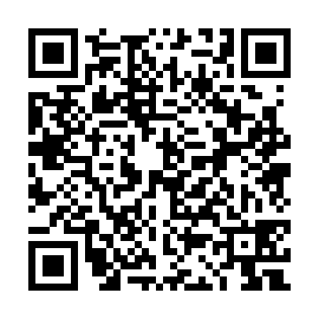 QR code for 4C0338P
