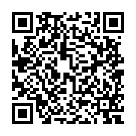 QR code for 4C0595O