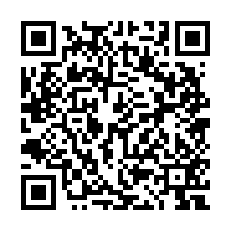 QR code for 4C0653N