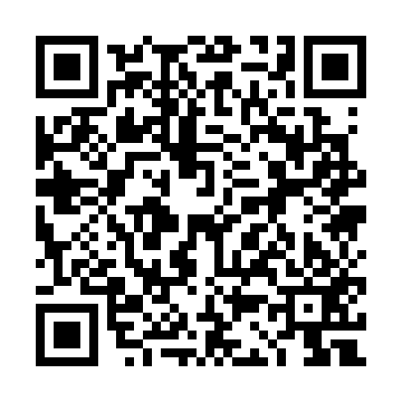QR code for 4C1353M