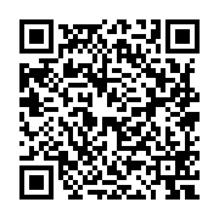QR code for 4C19993