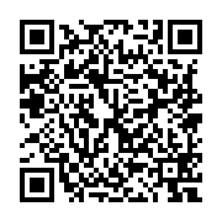 QR code for 4C19994
