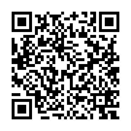 QR code for 4C2929P