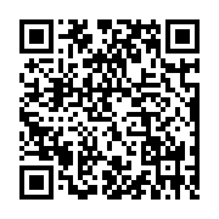 QR code for 4C29385