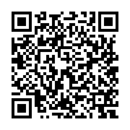 QR code for 4C2954G