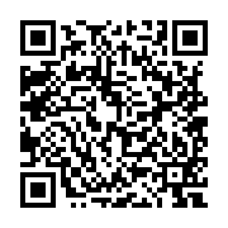 QR code for 4C2993I