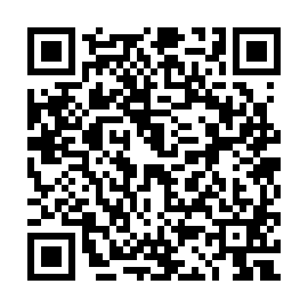 QR code for 4C33816