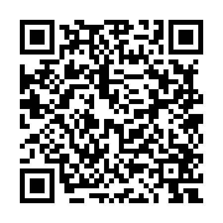 QR code for 4C38463