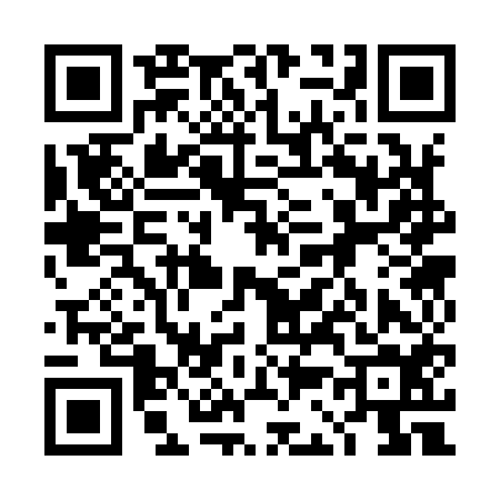 QR code for 4C3954N