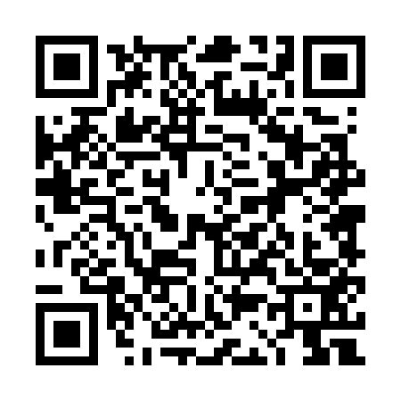 QR code for 4C47538