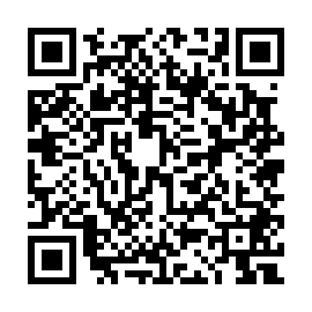QR code for 4C50487