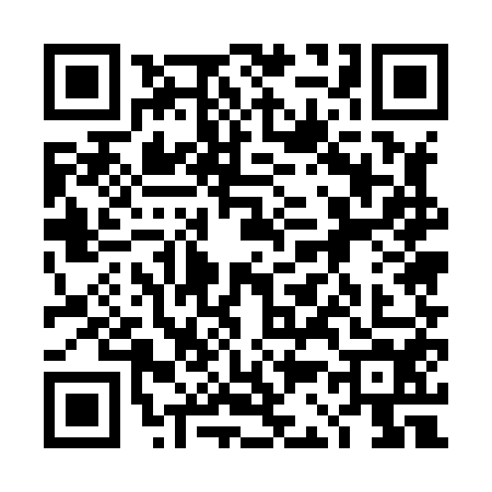 QR code for 4C58541