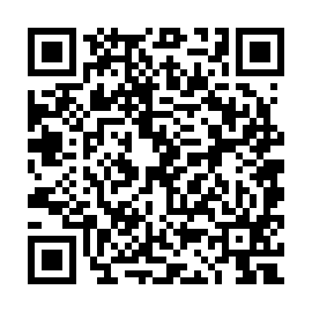 QR code for 4C6295T