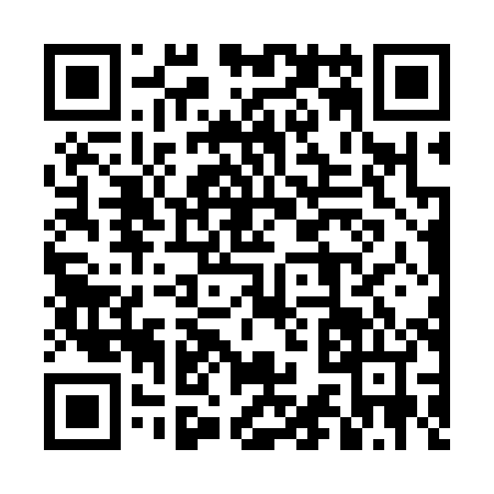 QR code for 4C63841