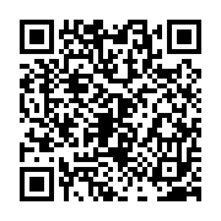 QR code for 4C9113I