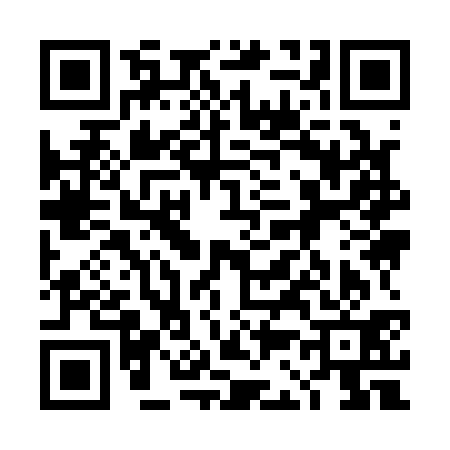 QR code for 4C9131N